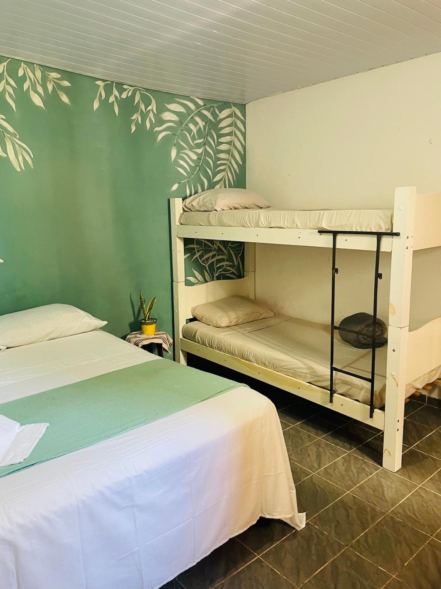 Vista Surf Pipa Hostel Praia de Pipa エクステリア 写真